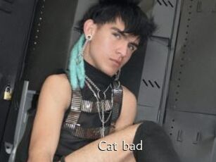 Cat_bad
