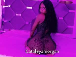 Cataleyamorgan