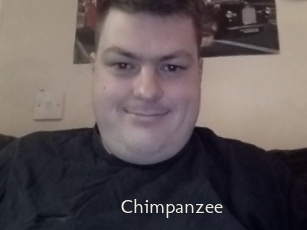 Chimpanzee
