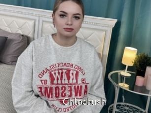 Chloebush