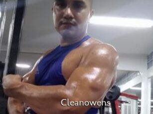 Cleanowens