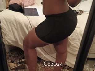 Co2024