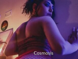 Cosmosis