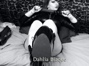 Dahlia_Blaque