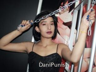 DaniPunish