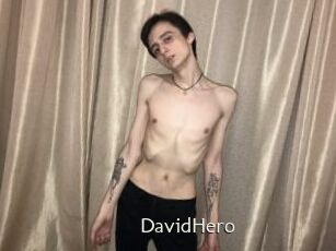 DavidHero