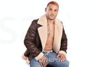 DavidPoll