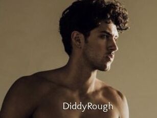 DiddyRough
