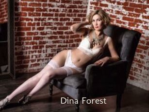 Dina_Forest