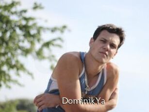 DominikYa