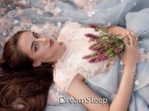 DreamSleep