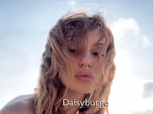 Daisyburge
