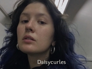 Daisycurles