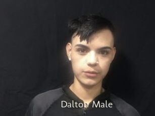 Dalton_Male