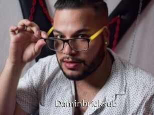 Daminbricksub