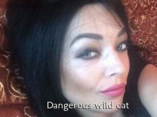 Dangerous_wild_cat