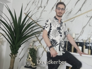 Davidkerber