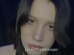 Dawnhawkinson