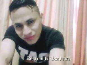 Destructordealmas