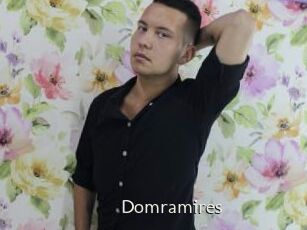 Domramires