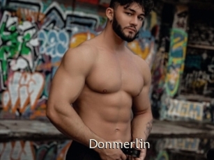 Donmerlin