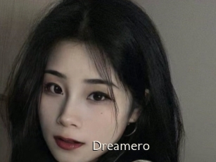 Dreamero