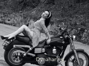 Dynaharley