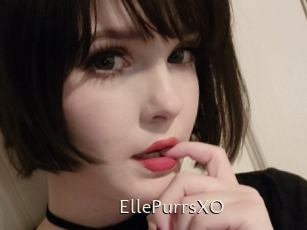 EllePurrsXO