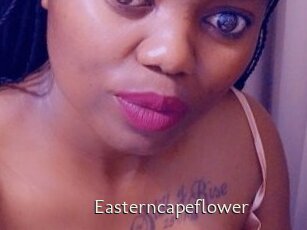 Easterncapeflower