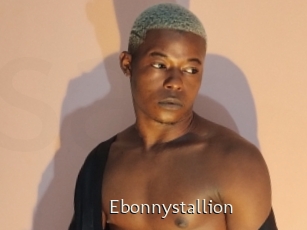 Ebonnystallion