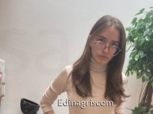 Edinagriscom