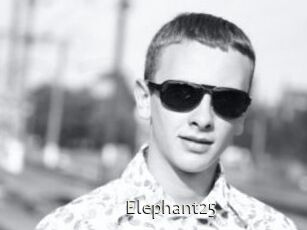 Elephant25