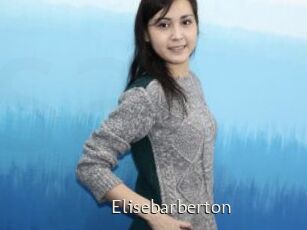 Elisebarberton