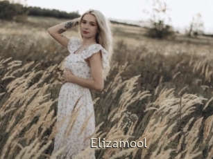 Elizamool