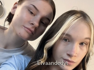 Elvaandedyt