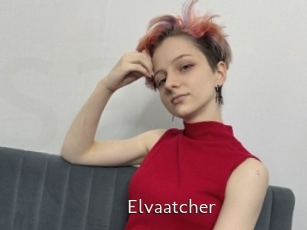 Elvaatcher