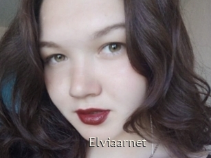 Elviaarnet