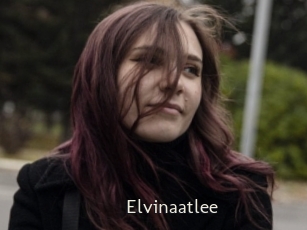 Elvinaatlee