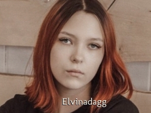 Elvinadagg