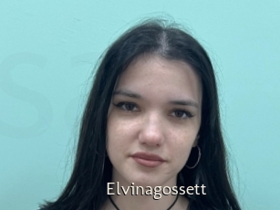 Elvinagossett