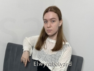 Elwynabolyard