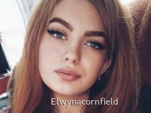 Elwynacornfield