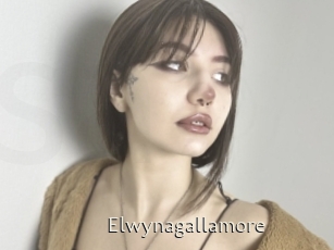 Elwynagallamore