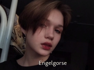 Engelgorse