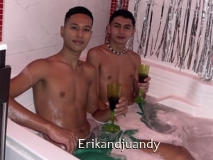 Erikandjuandy