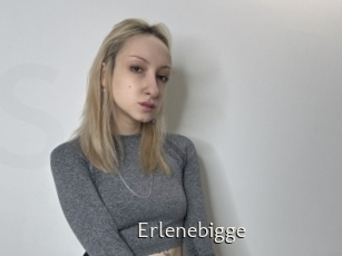 Erlenebigge