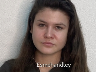 Esmehandley
