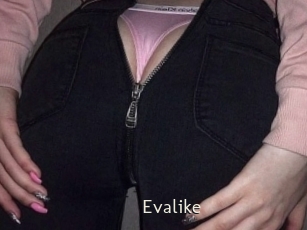 Evalike