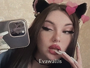 Evawallis