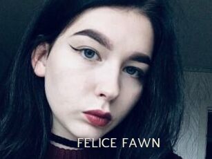 FELICE_FAWN